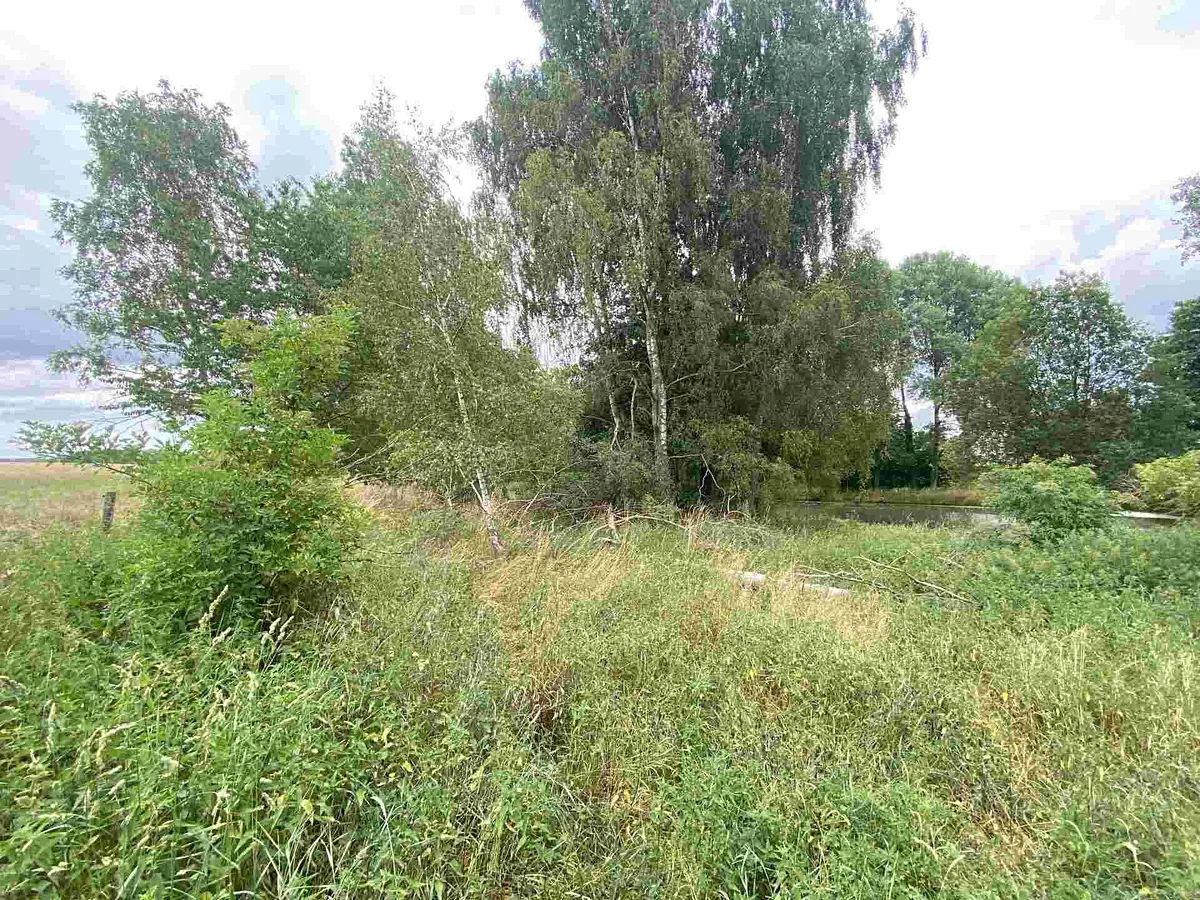 Prodej pozemku 2230 m²